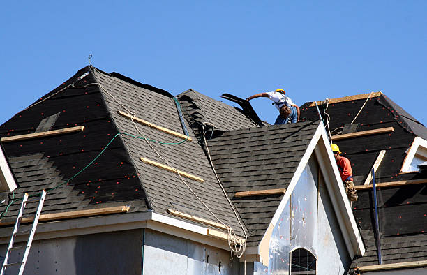 Best Roof Gutter Cleaning  in Manning, IA