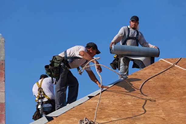 Best Commercial Roofing Services  in Manning, IA