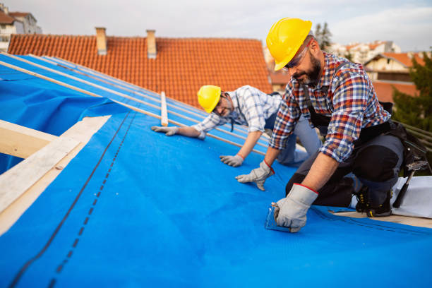 Best Commercial Roofing Services  in Manning, IA
