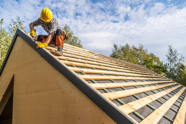 Best Metal Roofing Contractor  in Manning, IA