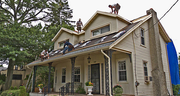 Best Roof Repair Specialists  in Manning, IA
